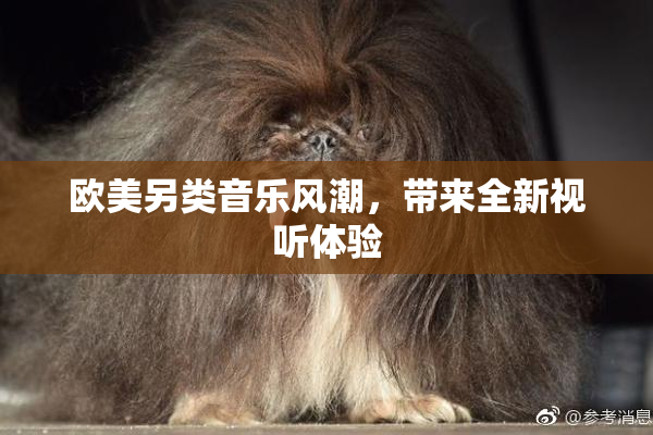 欧美另类音乐风潮，带来全新视听体验