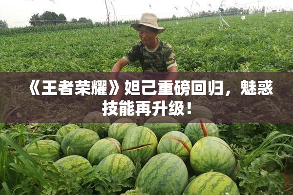 《王者荣耀》妲己重磅回归，魅惑技能再升级！