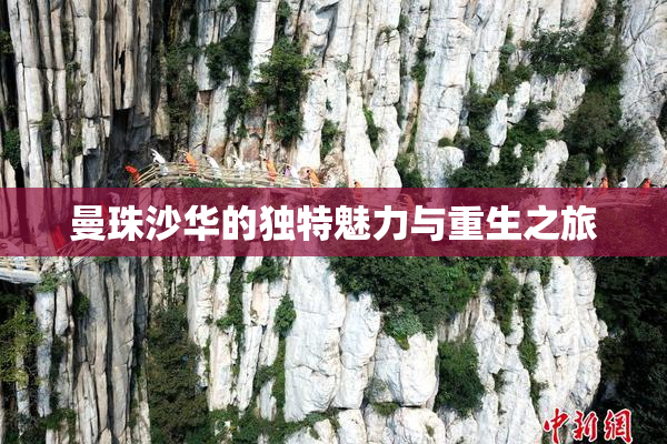 曼珠沙华的独特魅力与重生之旅