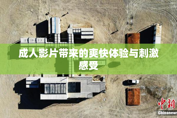 成人影片带来的爽快体验与刺激感受