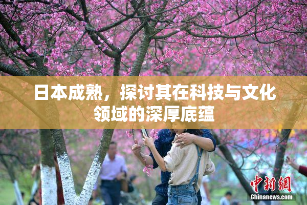 日本成熟，探讨其在科技与文化领域的深厚底蕴