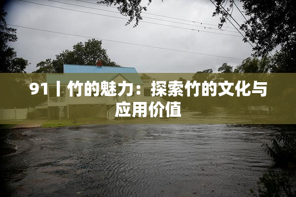 91丨竹的魅力：探索竹的文化与应用价值
