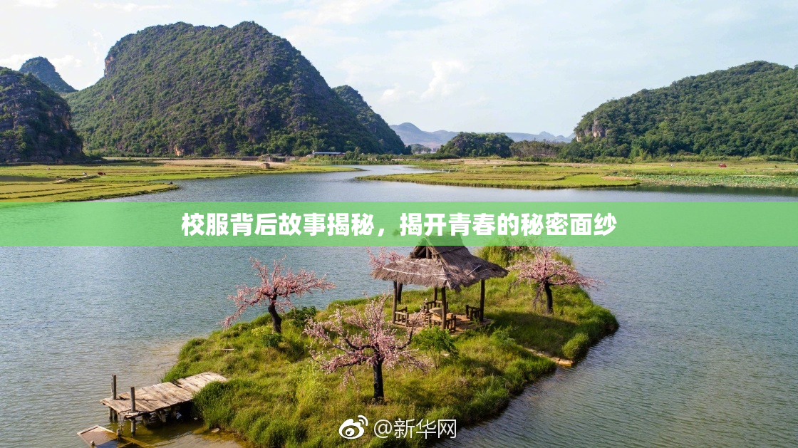 校服背后故事揭秘，揭开青春的秘密面纱