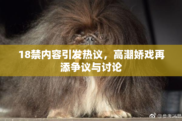 18禁内容引发热议，高潮娇戏再添争议与讨论
