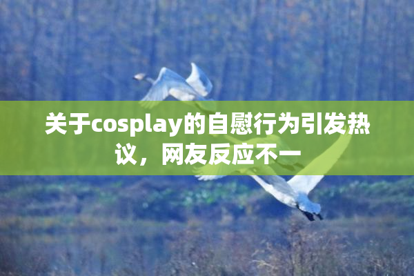 关于cosplay的自慰行为引发热议，网友反应不一
