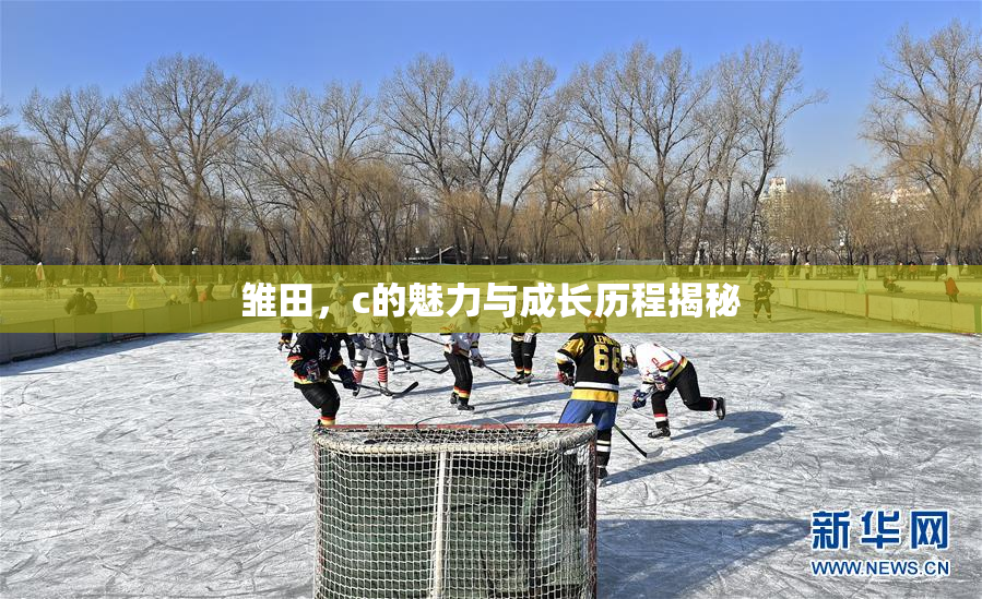 雏田，c的魅力与成长历程揭秘