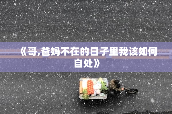 《哥,爸妈不在的日子里我该如何自处》