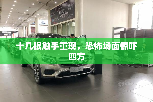 十几根触手重现，恐怖场面惊吓四方