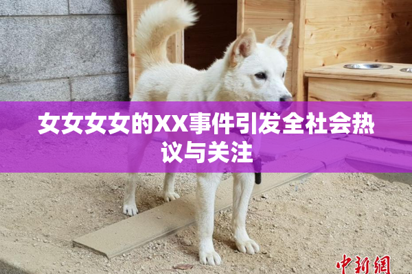 女女女女的XX事件引发全社会热议与关注