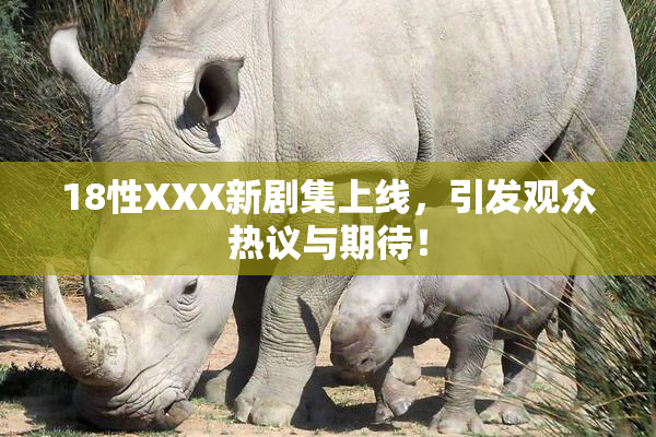 18性XXX新剧集上线，引发观众热议与期待！