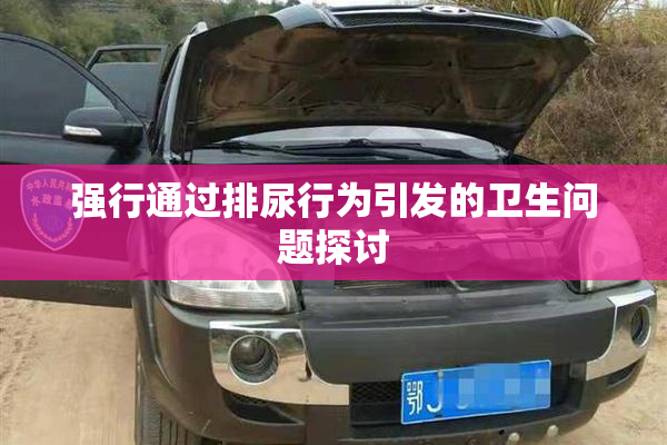 强行通过排尿行为引发的卫生问题探讨