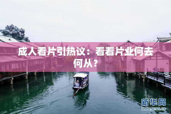 成人看片引热议：看看片业何去何从？