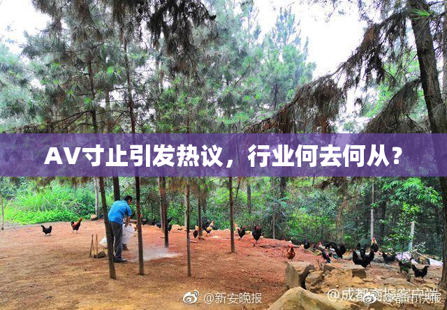 AV寸止引发热议，行业何去何从？
