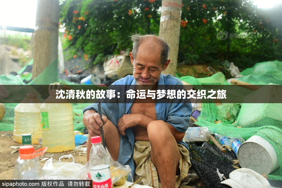 沈清秋的故事：命运与梦想的交织之旅