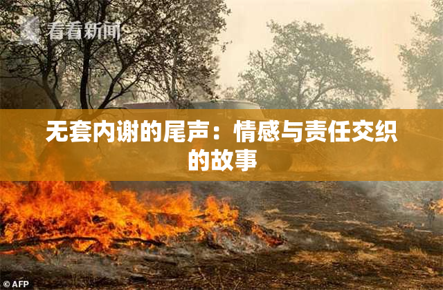 无套内谢的尾声：情感与责任交织的故事