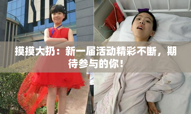 摸摸大扔：新一届活动精彩不断，期待参与的你！