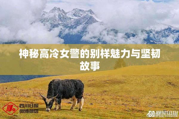 神秘高冷女警的别样魅力与坚韧故事