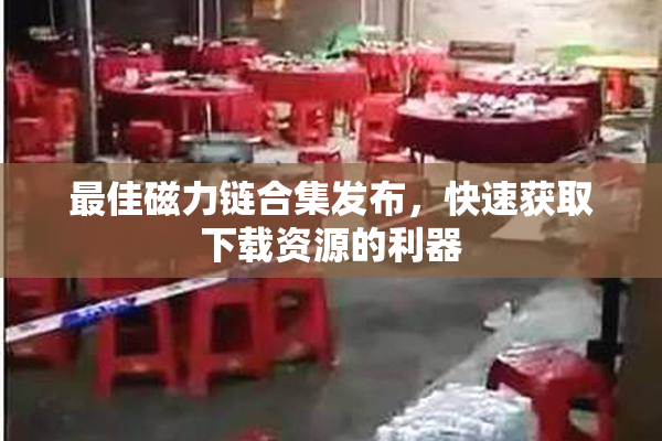 最佳磁力链合集发布，快速获取下载资源的利器