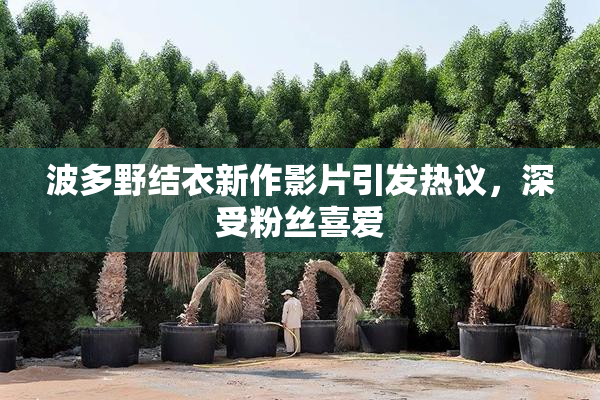 波多野结衣新作影片引发热议，深受粉丝喜爱