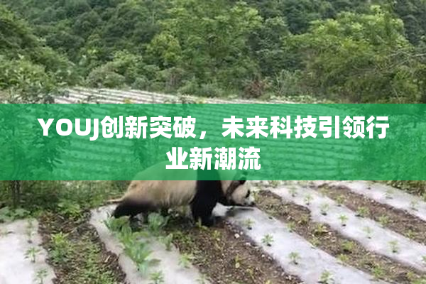 YOUJ创新突破，未来科技引领行业新潮流