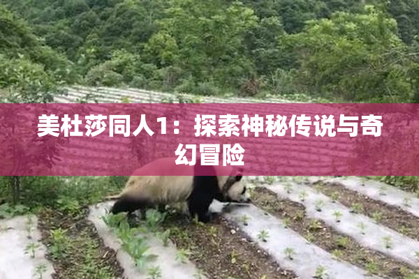 美杜莎同人1：探索神秘传说与奇幻冒险