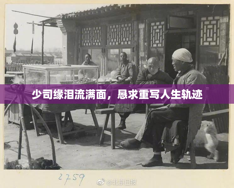 少司缘泪流满面，恳求重写人生轨迹