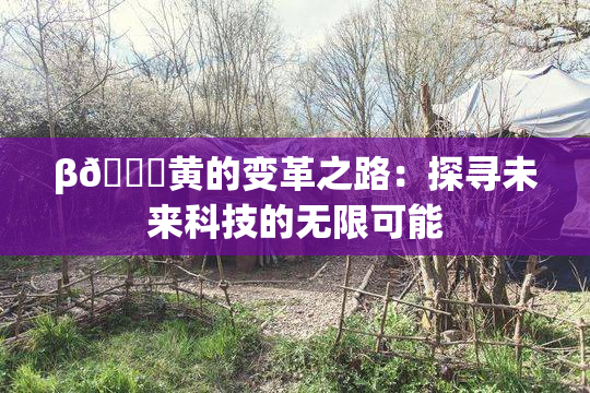 β🔞黄的变革之路：探寻未来科技的无限可能