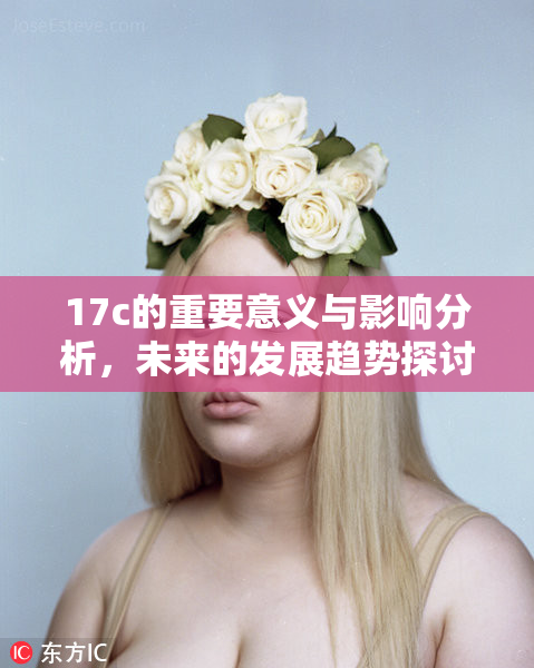 17c的重要意义与影响分析，未来的发展趋势探讨与预测
