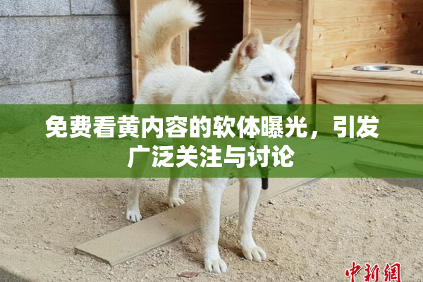 免费看黄内容的软体曝光，引发广泛关注与讨论