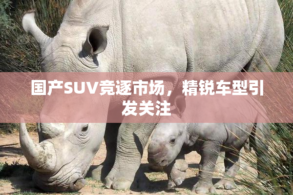国产SUV竞逐市场，精锐车型引发关注