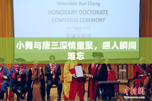 小舞与唐三深情重聚，感人瞬间难忘
