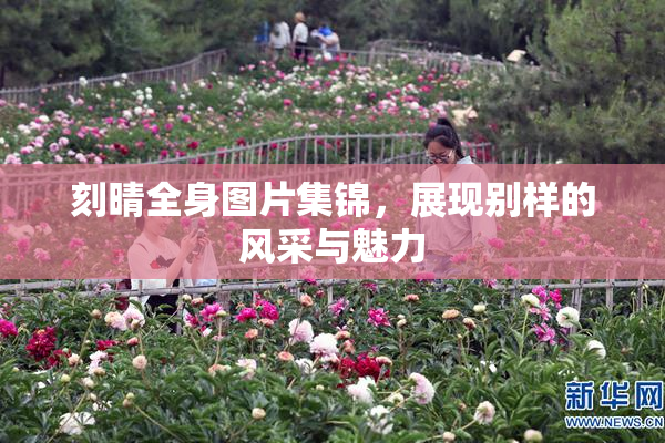 刻晴全身图片集锦，展现别样的风采与魅力
