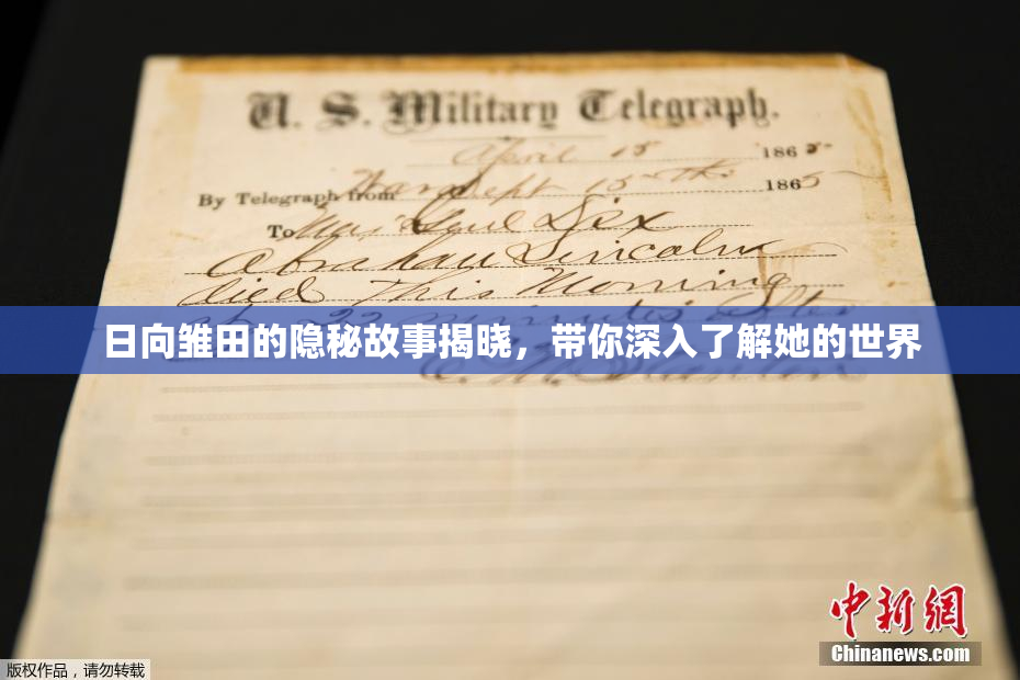 日向雏田的隐秘故事揭晓，带你深入了解她的世界