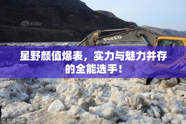 星野颜值爆表，实力与魅力并存的全能选手！