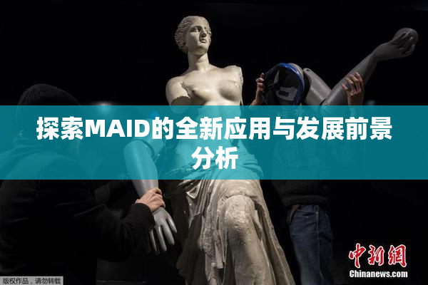 探索MAID的全新应用与发展前景分析