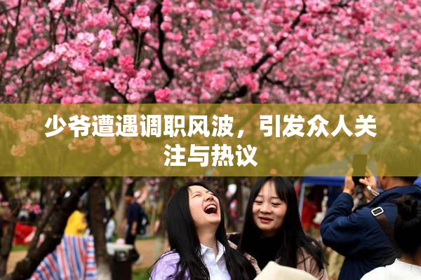 少爷遭遇调职风波，引发众人关注与热议