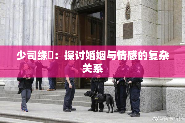 少司缘婬：探讨婚姻与情感的复杂关系