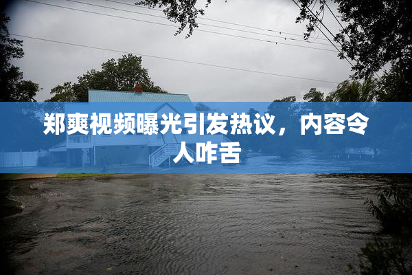 郑爽视频曝光引发热议，内容令人咋舌
