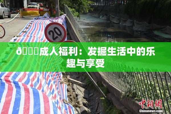 🔞成人福利：发掘生活中的乐趣与享受