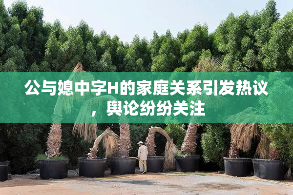 公与媳中字H的家庭关系引发热议，舆论纷纷关注