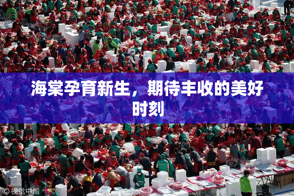 海棠孕育新生，期待丰收的美好时刻