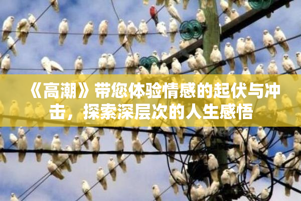 《高潮》带您体验情感的起伏与冲击，探索深层次的人生感悟