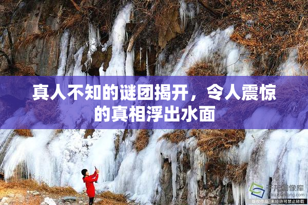 真人不知的谜团揭开，令人震惊的真相浮出水面