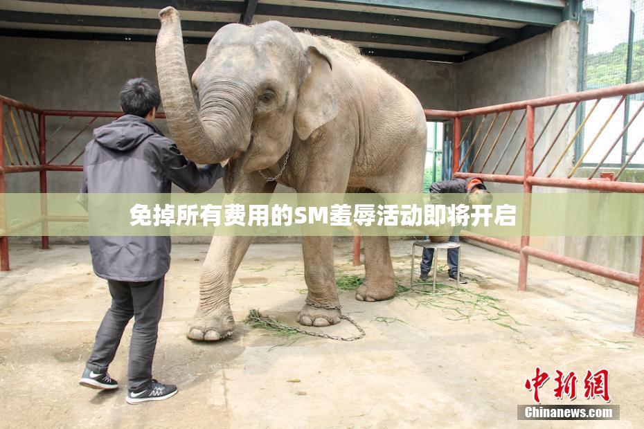 免掉所有费用的SM羞辱活动即将开启