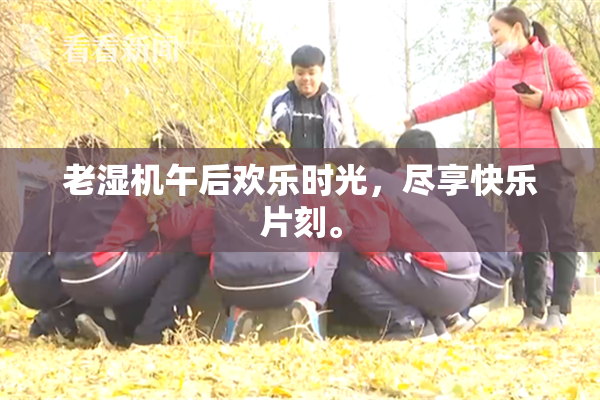 老湿机午后欢乐时光，尽享快乐片刻。
