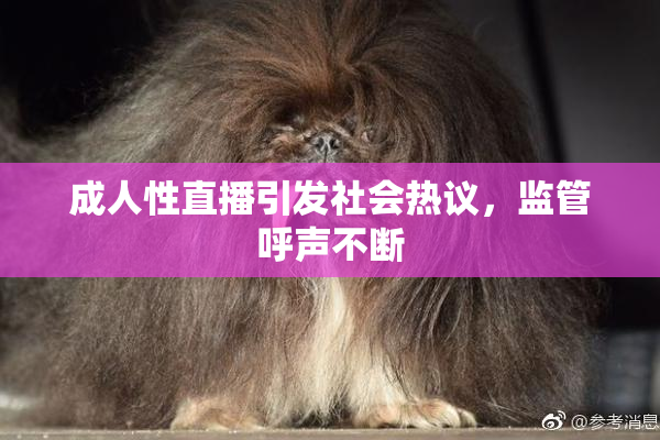 成人性直播引发社会热议，监管呼声不断