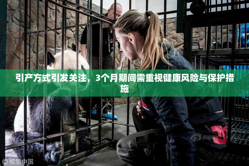 引产方式引发关注，3个月期间需重视健康风险与保护措施