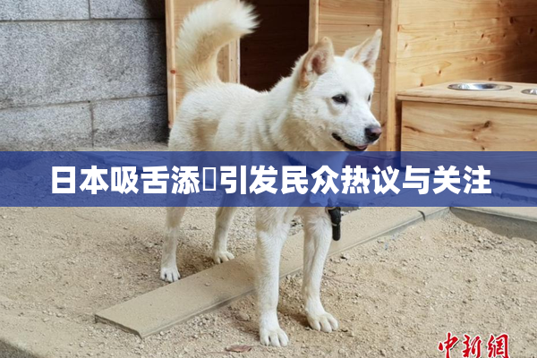 日本吸舌添泬引发民众热议与关注
