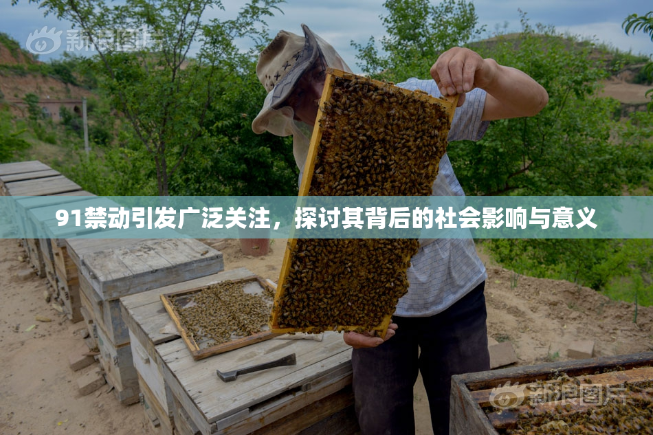 91禁动引发广泛关注，探讨其背后的社会影响与意义