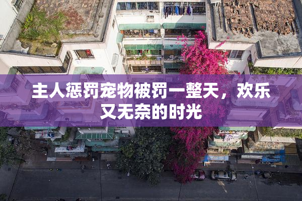 主人惩罚宠物被罚一整天，欢乐又无奈的时光